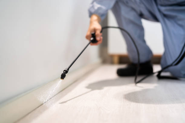 Licensed Cockroach Control service in Crawford County County, KS - Nex Pest Control