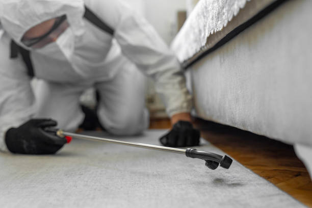 Professional Cockroach Control technician working in Crawford County County, KS